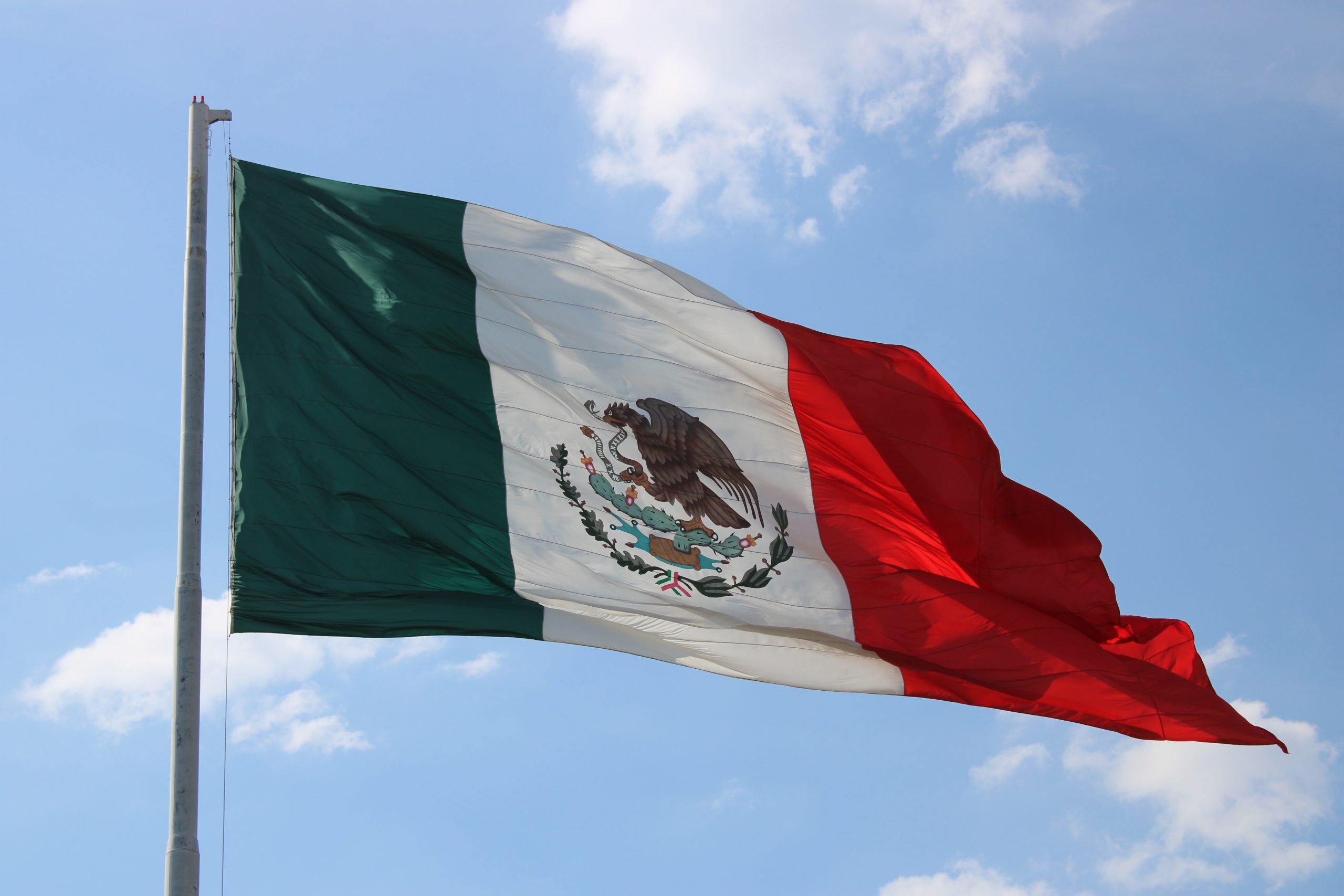 Diving in Mexico Flag